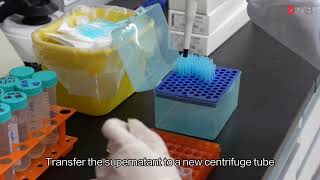 Laboratory Case Sharing DNA Extraction Using CTAB Method [upl. by Carrel]