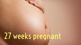 Your Pregnancy  27 Weeks [upl. by Ayor]