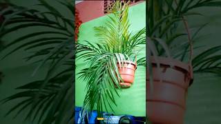 Artificial Flowers Decoration  short video vairal video [upl. by Artened777]