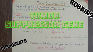 Tumor Suppressor Gene ImmunityPathology [upl. by Pelligrini178]