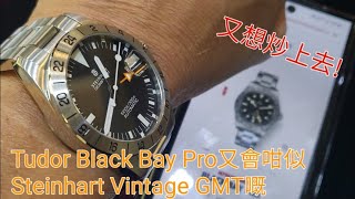 Tudor Black Bay Pro同Steinhart又會咁似嘅 佢又想炒上去。。 [upl. by Madella]