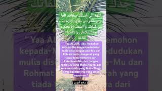 DOA DALAM SOLAT HAJAT feedshorts shorts nasehatislami [upl. by Nodearb449]