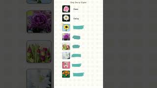 How many flowers can you name English Vocabulary Builder [upl. by Sitto]