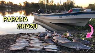 TERRIBLE PESCA EN EL PARANA NUEVO LANCHERO [upl. by Landsman]