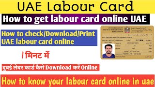 How to download UAE labour card online  How to get labour card online in uae UAE labour card check [upl. by Ayifa729]