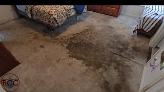 How to Clean Extremely Soiled Carpet [upl. by Tirrag]