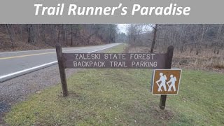 Zaleski Trail Run  Ohio Runners Paradise [upl. by Annairdua247]