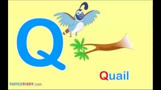 What Words Start With Letter Q Words For Toddlers [upl. by Mattias]