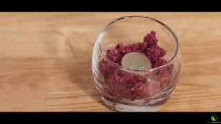 Sferificazione inversa di ginTonic con granita duva Specialingredientsit [upl. by Eenalem]