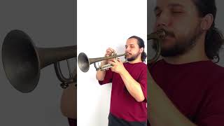 🎶 Experience the sound of a custom trumpet with booster from KGUmusic trumpet trumpeter jazz [upl. by Bellis]