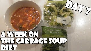 A Week On The Cabbage Soup Diet DAY 7 [upl. by Zorine]