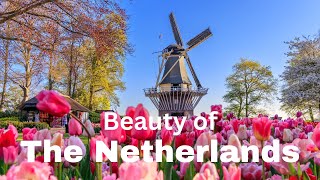 Explore Netherlands Windmills amp Tulips [upl. by Areikahs]