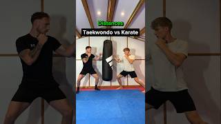 Taekwondo vs Karate [upl. by Burrill]