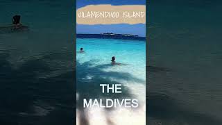 Arriving to Vilamendhoo Island at The Maldives What a place to be [upl. by Masry]