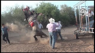 Carreras de Caballos en la Fabrica de Los Angeles [upl. by Nnylg515]