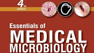 DIPHTHERIA microbiology mbbs [upl. by O'Gowan]