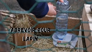 Abreuvoir Pour Lapin Facile et Efficace [upl. by Kaleb]