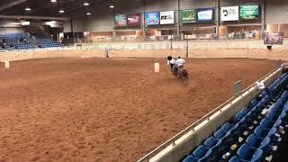 Tulsa Heritage Rodeo 2019 Pony Express Championship Race [upl. by Sheng768]