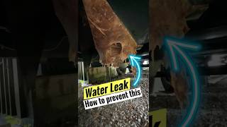 How to Check RV Shower Drain for Leaks [upl. by Annahc]