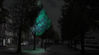 Glowinthedark trees could replace street lights says Daan Roosegaarde [upl. by Googins338]