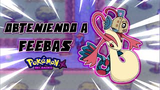 Obteniendo a Feebas y Milotic Serie The Last Beta Pokemon Reloaded [upl. by Hnad]