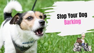 Episode 71 Stop Your Dog Barking with the Citronella Dog Training Collar [upl. by Annadiana]