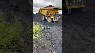 oht cat 777 dumping batubara mining tambang heavyequipment alatberat pejuangrupiah fyp [upl. by Iveel]