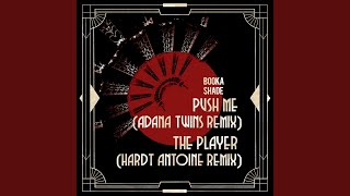 Push Me Adana Twins Remix [upl. by Corin]