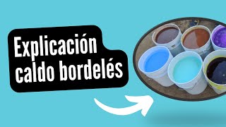 CALDO BORDELÉS  EXPLICADO POR SEBASTIAO PINHEIRO [upl. by Shriner]