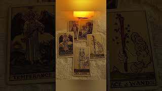 Life Path 8 New Beginnings 💜 Tarot Reading [upl. by Pudendas553]