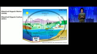 Ocean Sciences Meeting 2020 Award Plenaries [upl. by Epoillac]