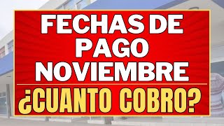 ✨FECHAS de PAGO Noviembre 2024 Anses  CUANTO COBRO [upl. by Whitnell]