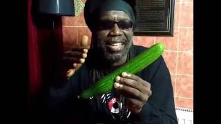 Cucumba Jamaican Cucumber Rap  Macka B Viral Video EKMCO [upl. by Cohen]