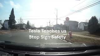 Tesla Auto pilot  Tesla shows us how to stop sign  Driving Fails  close calls  caught on dashcam [upl. by Pammy]