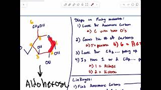 Biochem 1 Carbohydrates Sucrose and glycemic index [upl. by Chansoo]