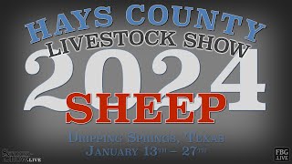 2024 Sheep Show  Hays County Youth Livestock Show [upl. by Krueger]