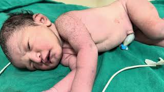 Newborn baby day12newborn mini vlog baby video [upl. by Couture655]