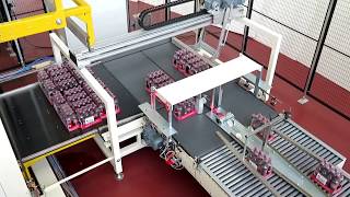 LITA Palletising Systems  High speed layer type Palletizer PRESTO 3DE [upl. by Nace]