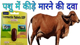 Vet Bolus Hitek Uses in Hindi  Ivermectin Tablets Veterinary medicine [upl. by Burty405]