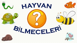 HAYVAN BİLMECELERİ [upl. by Pazice]