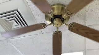 Litex Brilliante Ceiling Fan 3 of 3 [upl. by Deery]