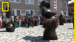 See the Intricate Costumes of Bulgaria’s Kukeri Dancers  National Geographic [upl. by Ycaj]