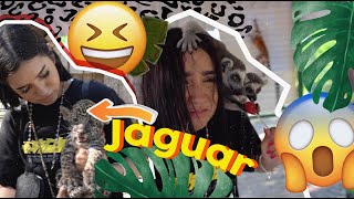 EL REY JULIEN LEMĆR COME PALETA Vlog en un ZOO [upl. by Kired]