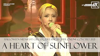 HALLOWEEN MIDNIGHT CIRCUS DREAMCATCHER ONLINE CONCERT 2021 A Heart of Sunflower [upl. by Son]