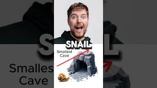 🐌 vs 🐆 – Epic Cave Race Who Wins [upl. by Akahs373]