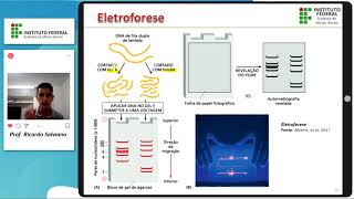 Tecnologias do DNA Recombinante  Parte II  Endonucleases de restrição e Eletroforese [upl. by Dnomhcir]