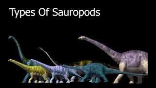 Types Of Sauropods [upl. by Pleione344]