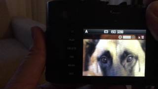 Leica MP 240 Live View exposure issue [upl. by Dibri476]