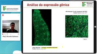 Tecnologias do DNA Recombinante  Parte VII Análise da expressão gênica [upl. by Ayinat]