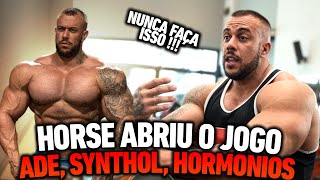 SYNTHOL E ANABOLICOS MARCELLO HORSE [upl. by Blodget945]